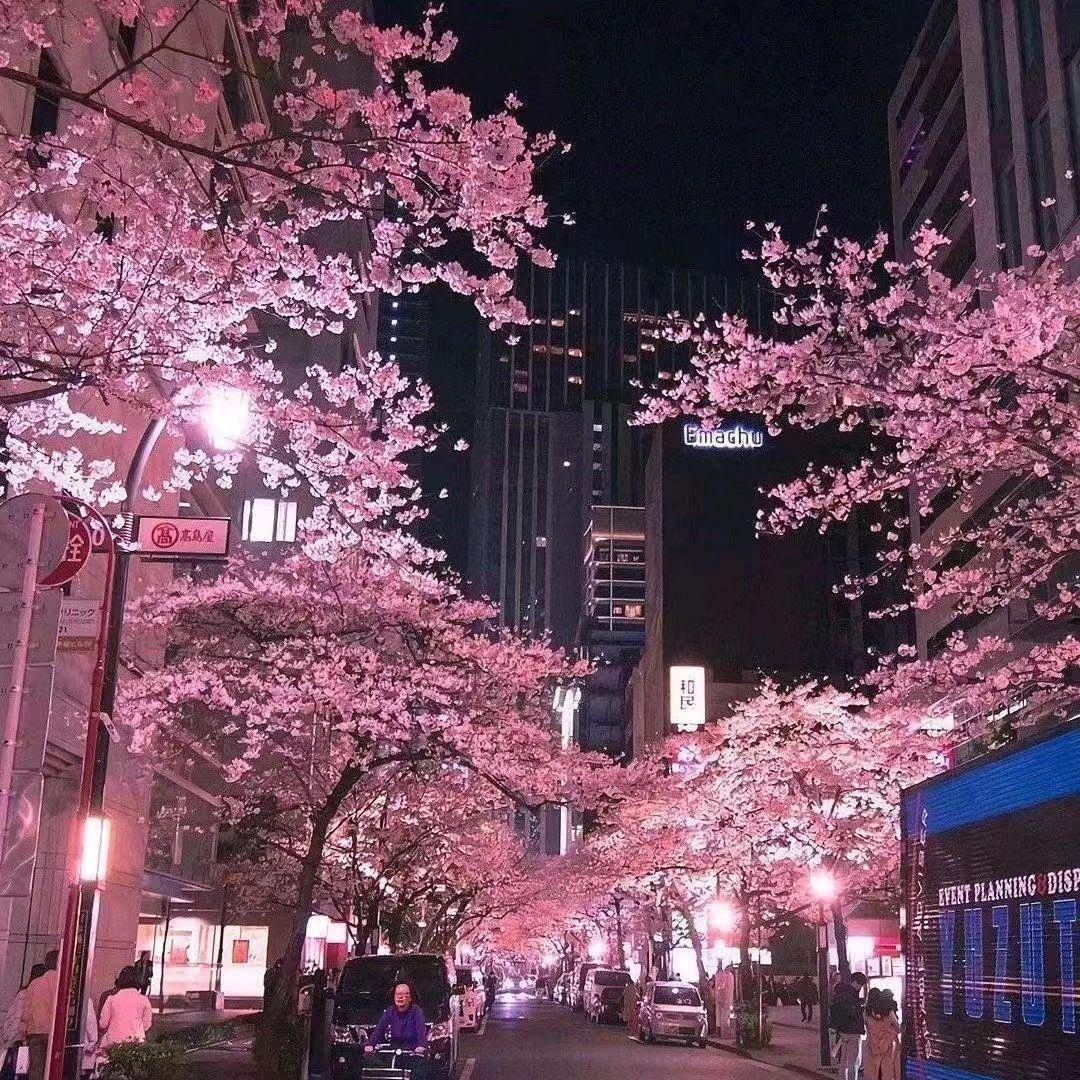 画长汀 Prod.MoDi_dx1封面