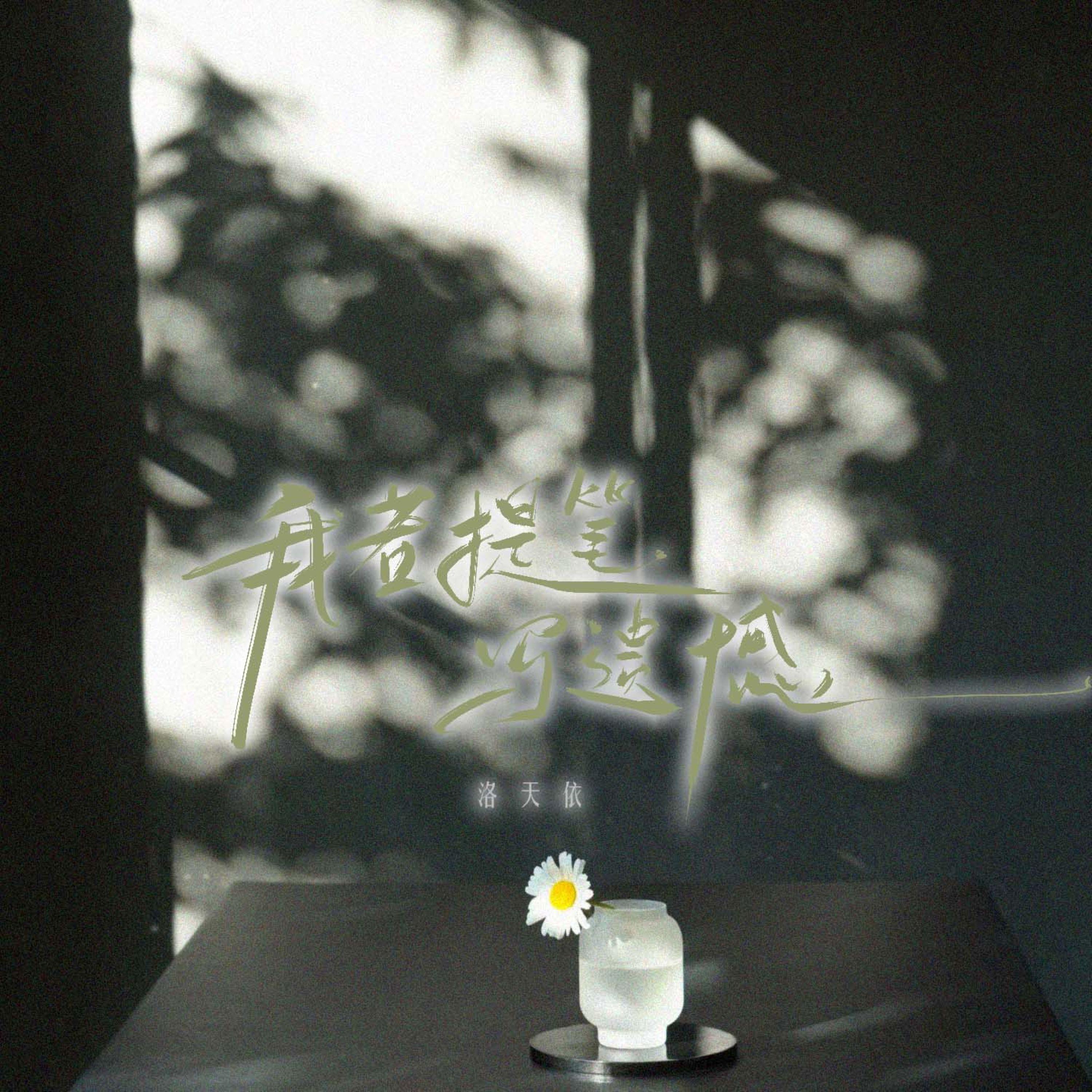 我若提笔写遗憾专辑