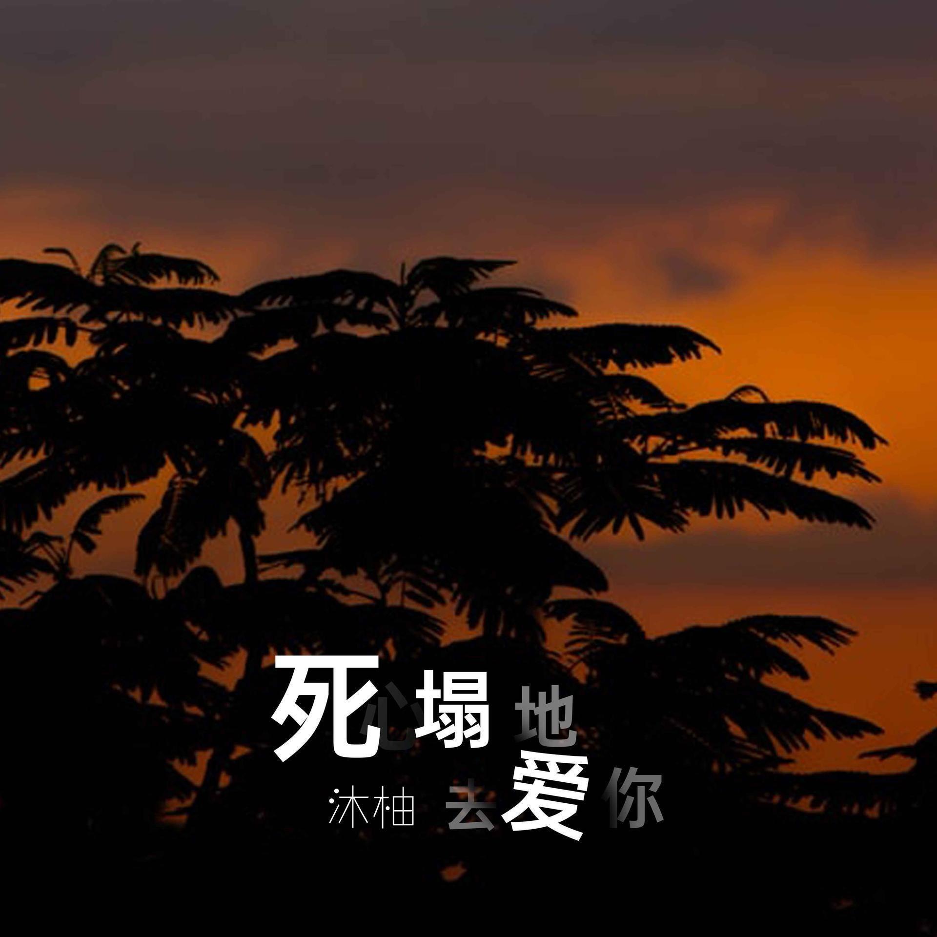 死心塌地去爱你（Cover怪阿姨/舍国庆）封面
