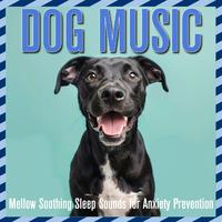 Dog Music: Mellow Soothing Sleep Sounds for Anxiety Prevention