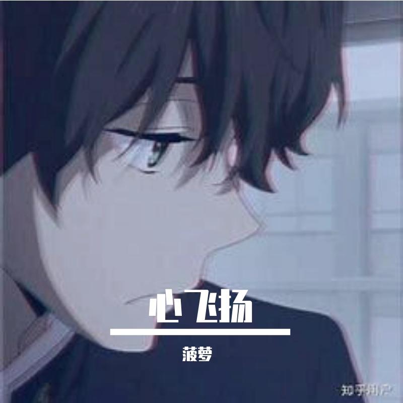 翱翔的老鹰封面