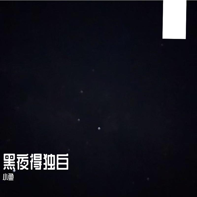 桂枝香封面