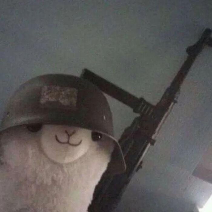 同归于尽封面
