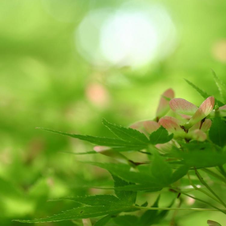 别望着我离开 - 嫣嫣201封面