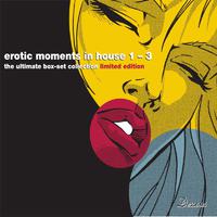 Erotic Moments in House Vol. 1-3 (The Ultimate Digital Box Set Collection)