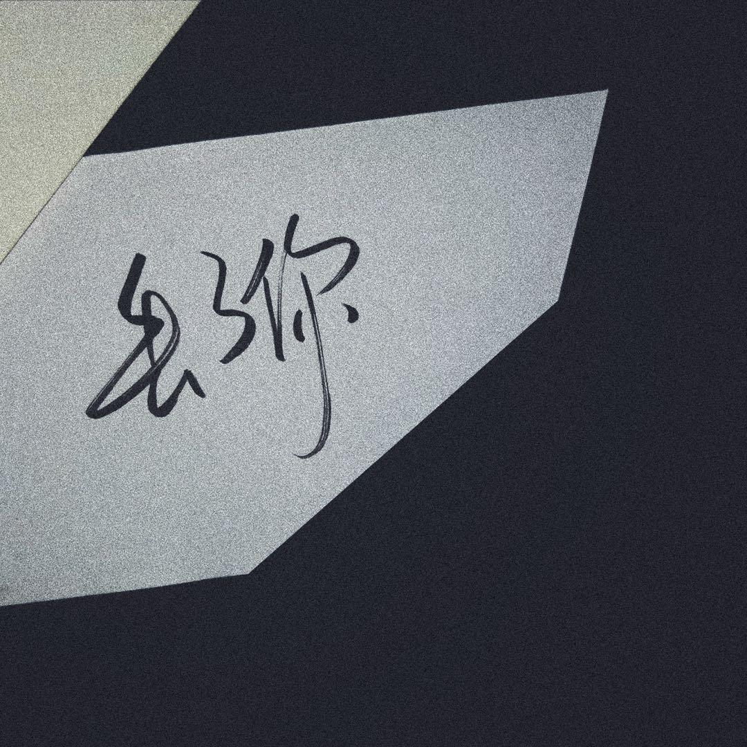 丢了你(暴力撕裂版)封面