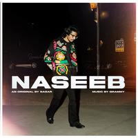 Naseeb