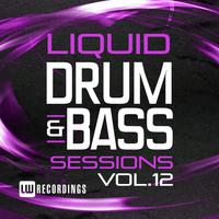 Liquid Drum & Bass Sessions, Vol. 12