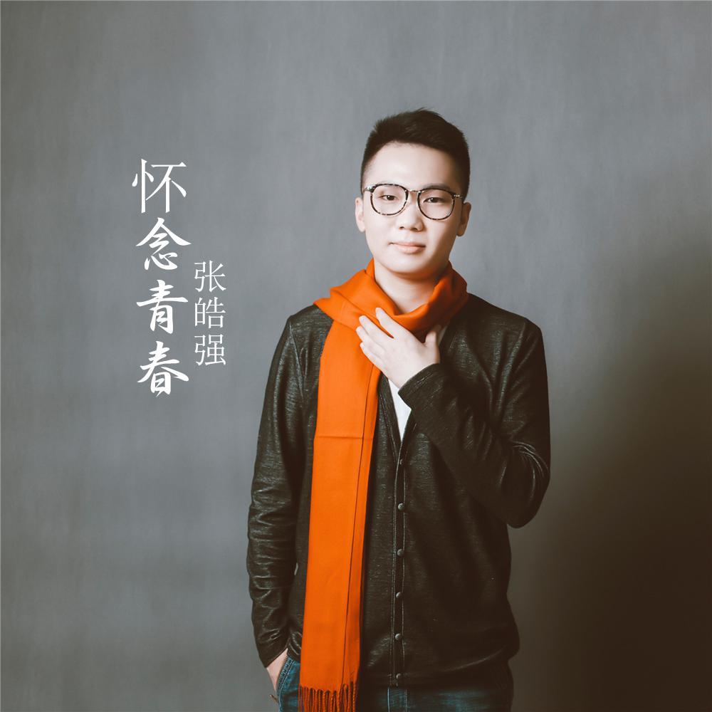 怀念青春（翻自 旭日阳刚）封面