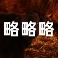 略略略
