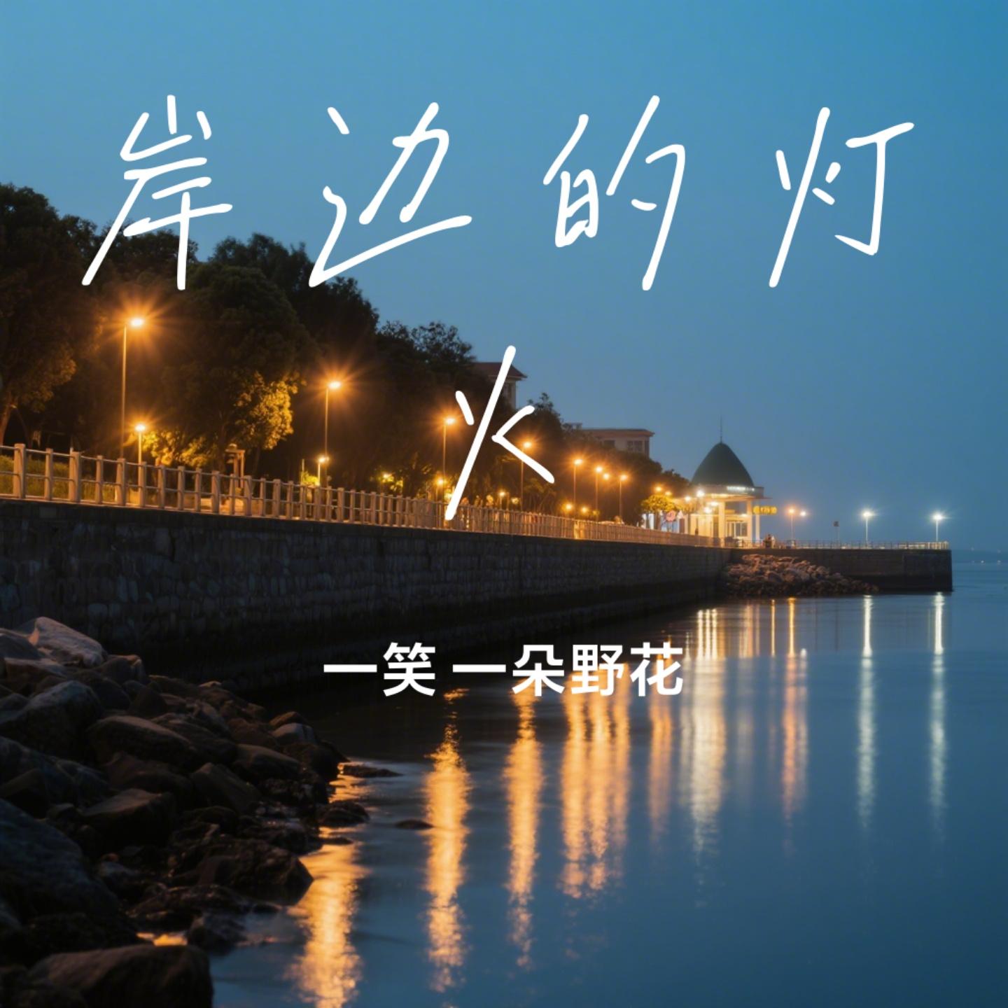 岸边的灯火封面