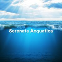 Serenata Acquatica