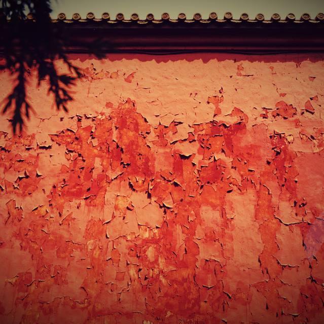 陈大强BigWall_Chan