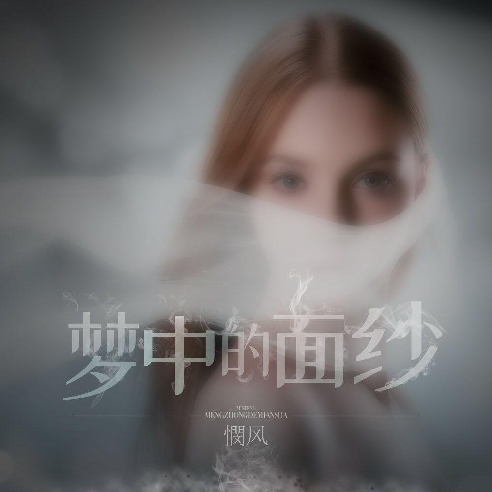 梦中的面纱封面