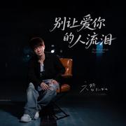 别让爱你的人流泪专辑
