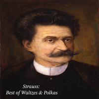 Strauss: Best of Waltzes & Polkas