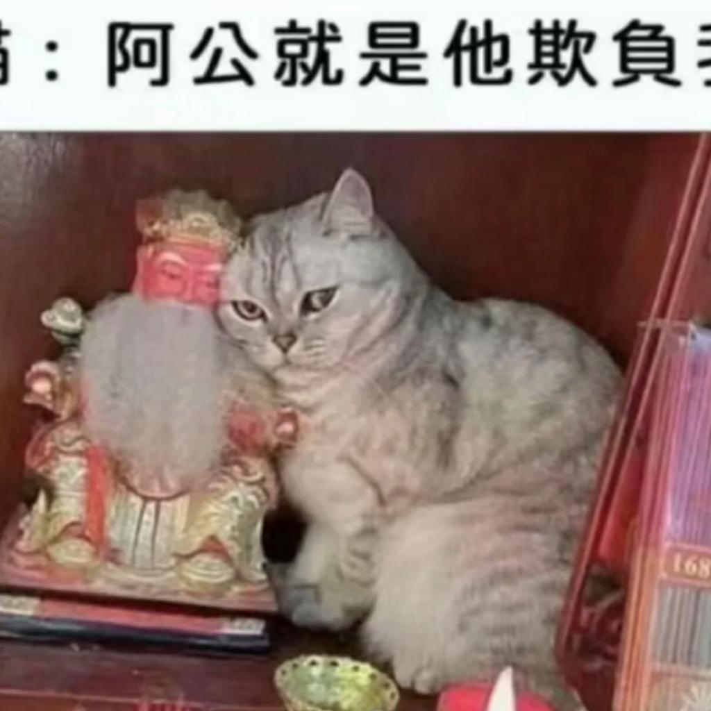 是狗蝶不是狗蝇
