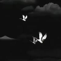 Aero资料,Aero最新歌曲,AeroMV视频,Aero音乐专辑,Aero好听的歌