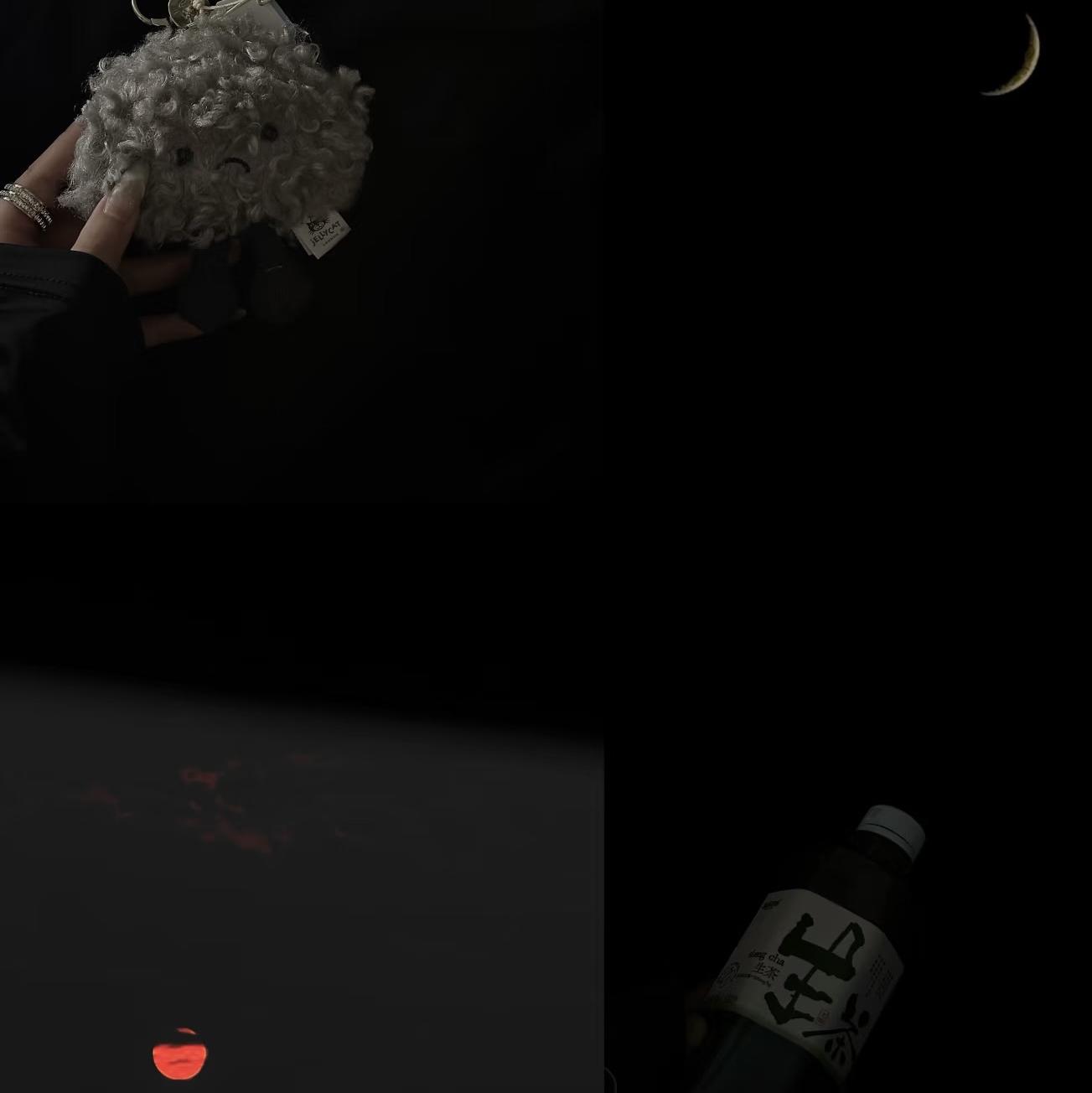 没有话说就不要说话 - 揽月封面