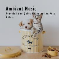 Ambient Music: Peaceful and Quiet Melodies for Pets Vol. 1