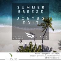 Summer Breeze（JoeyBG Future Edit）