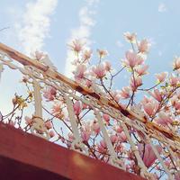 芸箐资料,芸箐最新歌曲,芸箐MV视频,芸箐音乐专辑,芸箐好听的歌