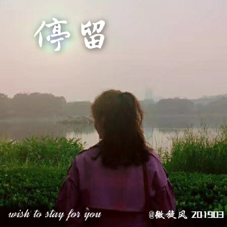 停留 - 坐在流音河边、薇蜜儿封面