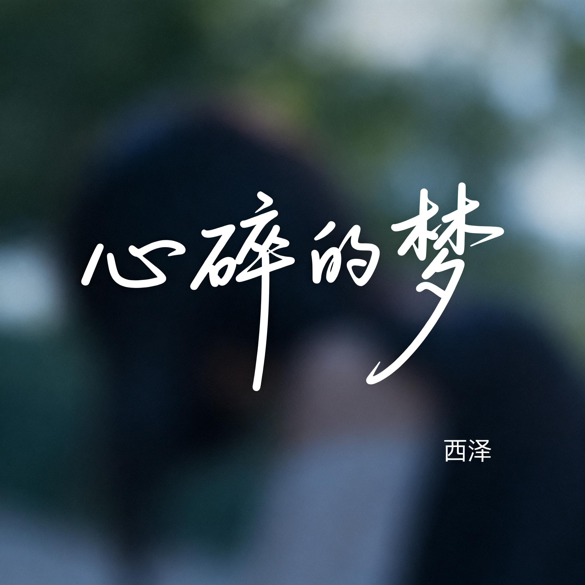 心碎的梦（抖音热播版）