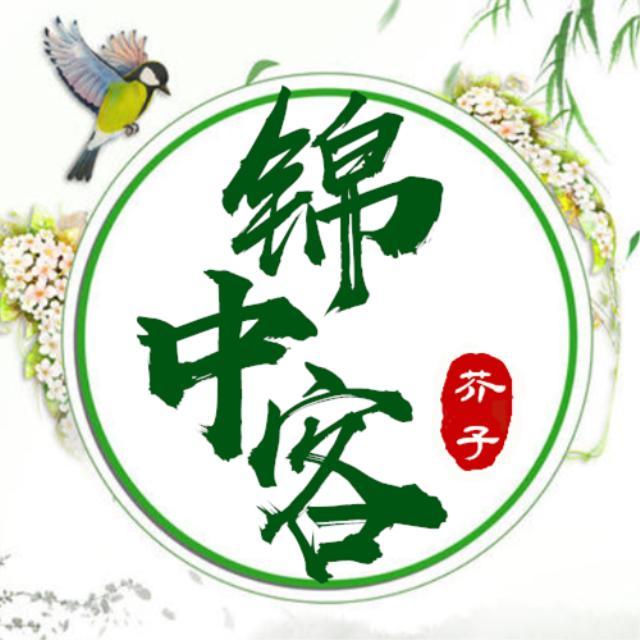 锦中客（翻自 国风堂）封面