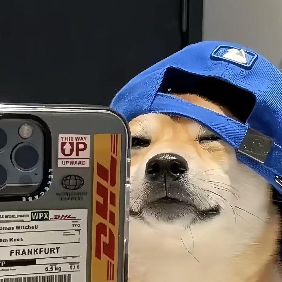 热门神曲全集，无需会员畅听