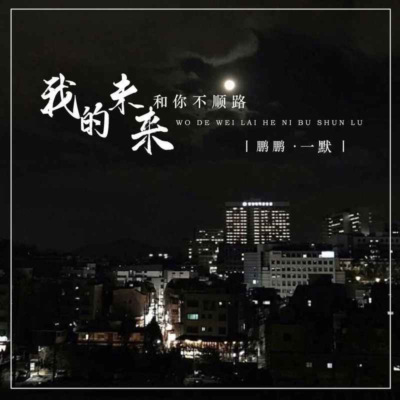 我的未来和你不顺路 - 鹏鹏音乐、王群封面