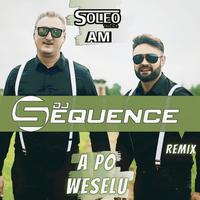 A Po Weselu (DJ Sequence Remix)