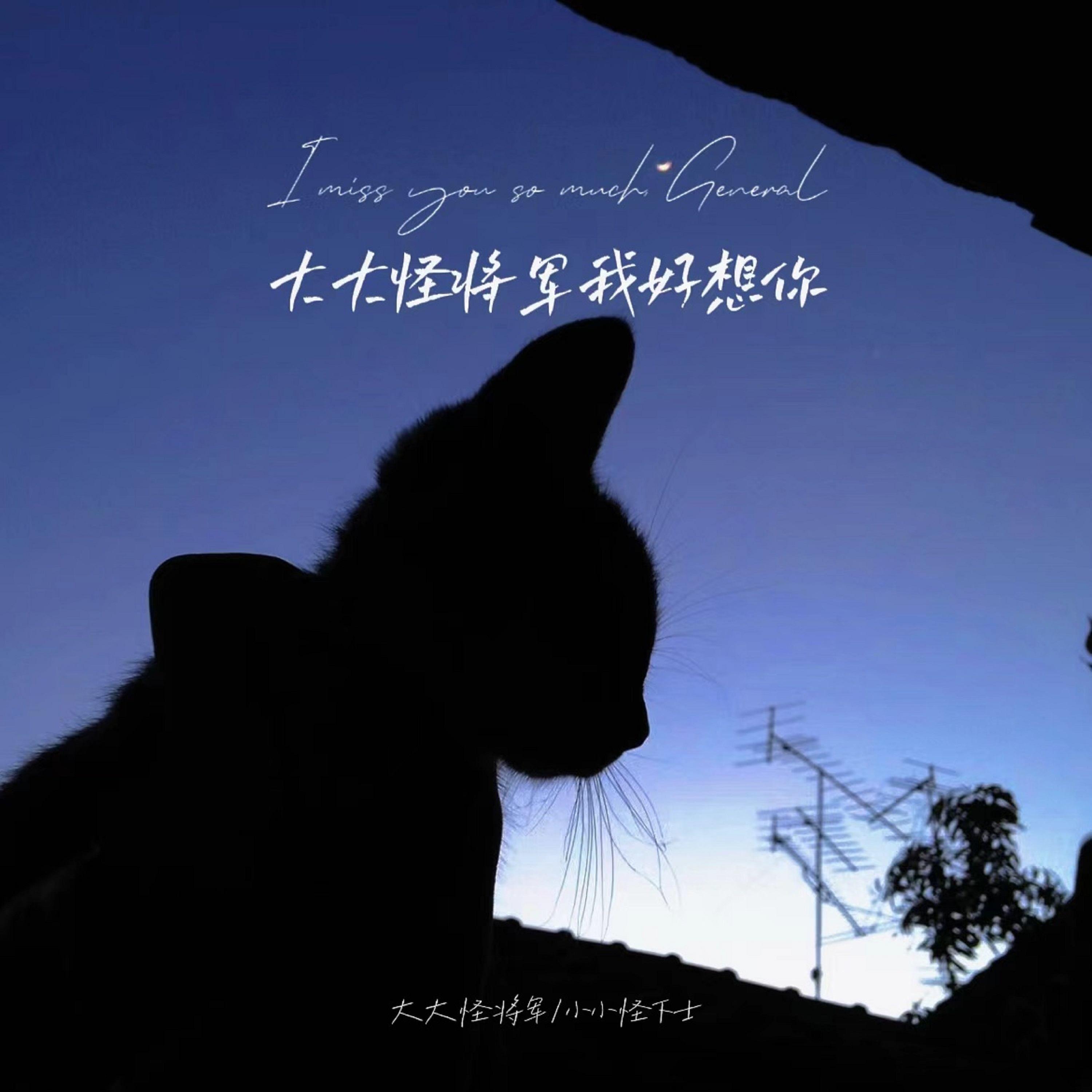 大大怪将军我好想你封面