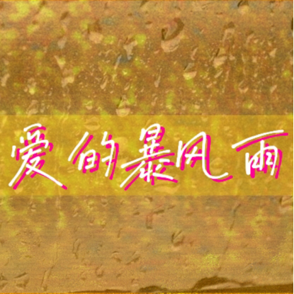 爱的暴雨 (DJ版)封面