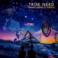 True Need (feat. Stimulus)