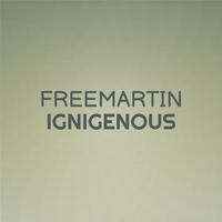 Freemartin Ignigenous