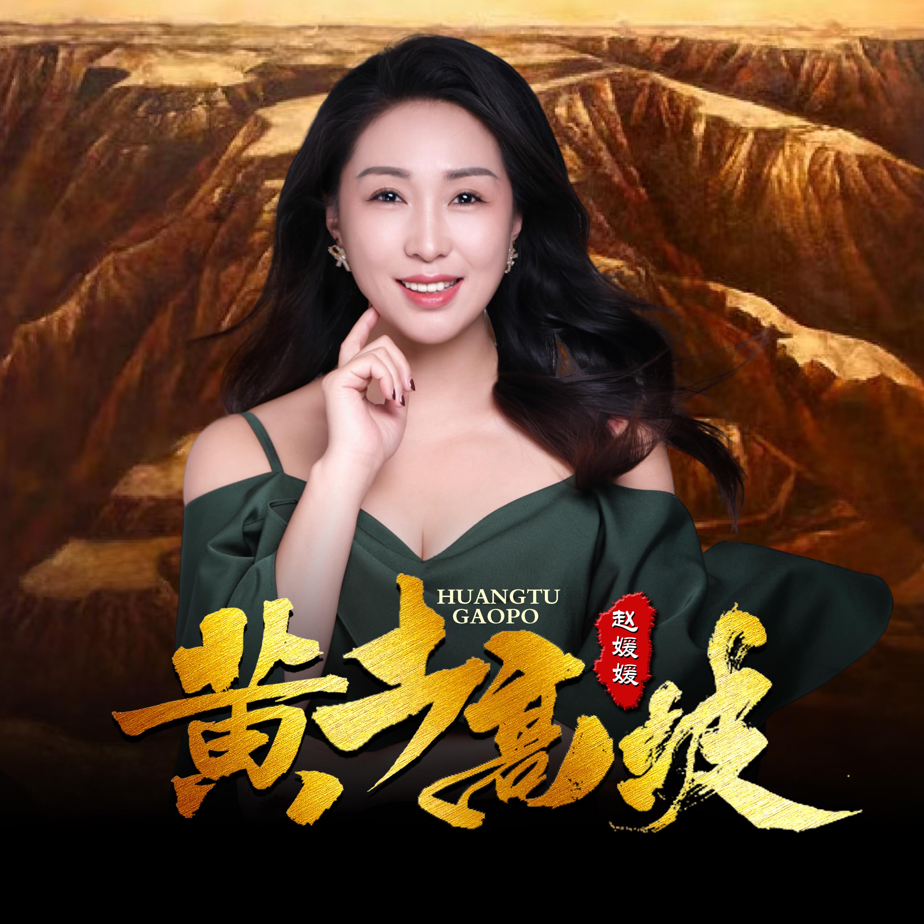 黄土高坡 (DJ版)封面