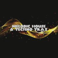 Melodic House & Techno Trax, Vol. 1