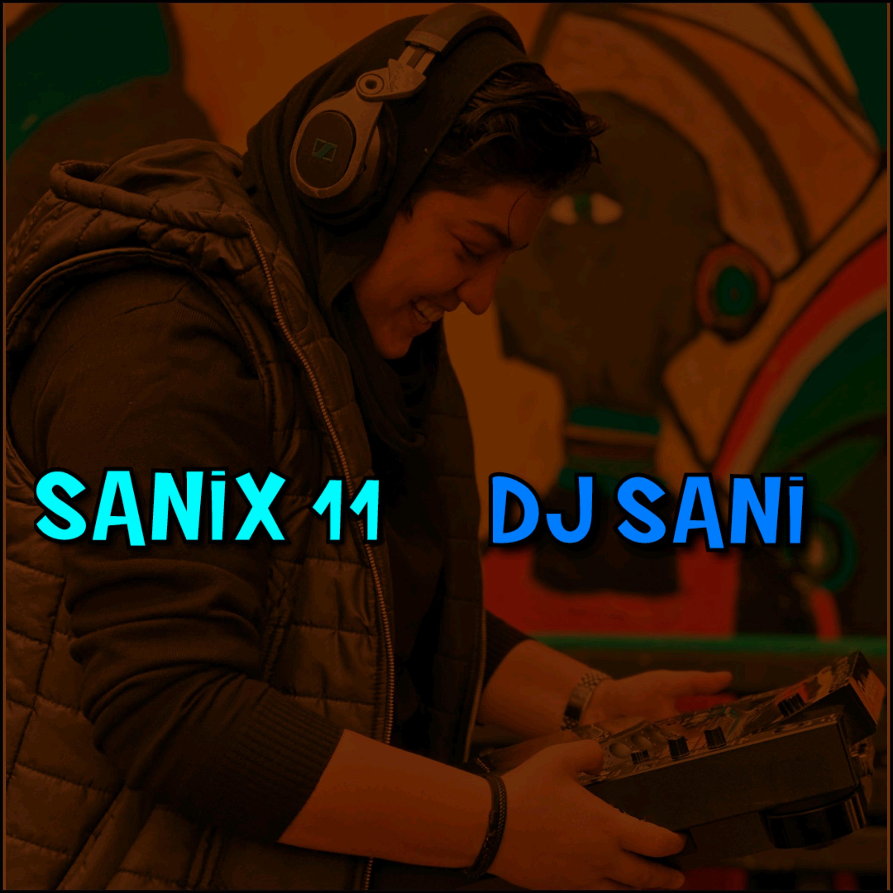Sanix 11