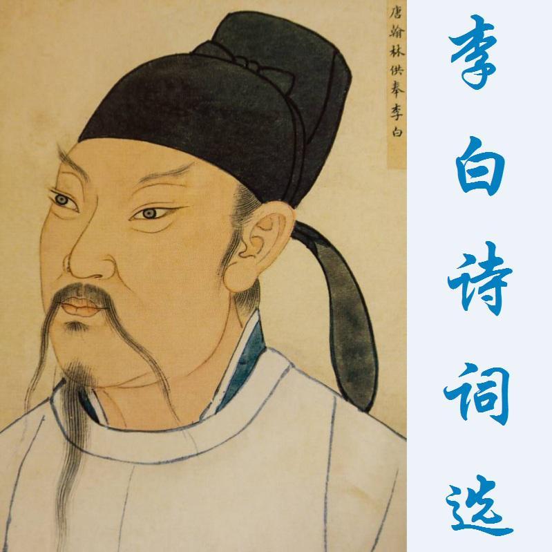 将进酒（李白）（敲杯子版）封面