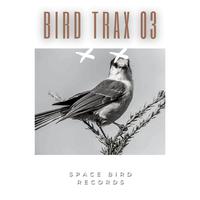 Bird Trax 03