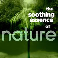 The Soothing Essence of Nature