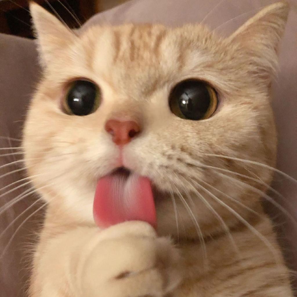 山有木兮卿有yi_