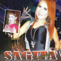 Sagita Ngamen, Vol. 11