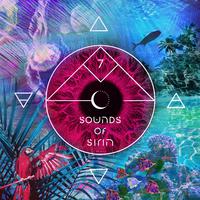 Bar 25 Music Presents: Sounds Of Sirin, Vol. 7