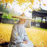 印能法师资料,印能法师最新歌曲,印能法师MV视频,印能法师音乐专辑,印能法师好听的歌
