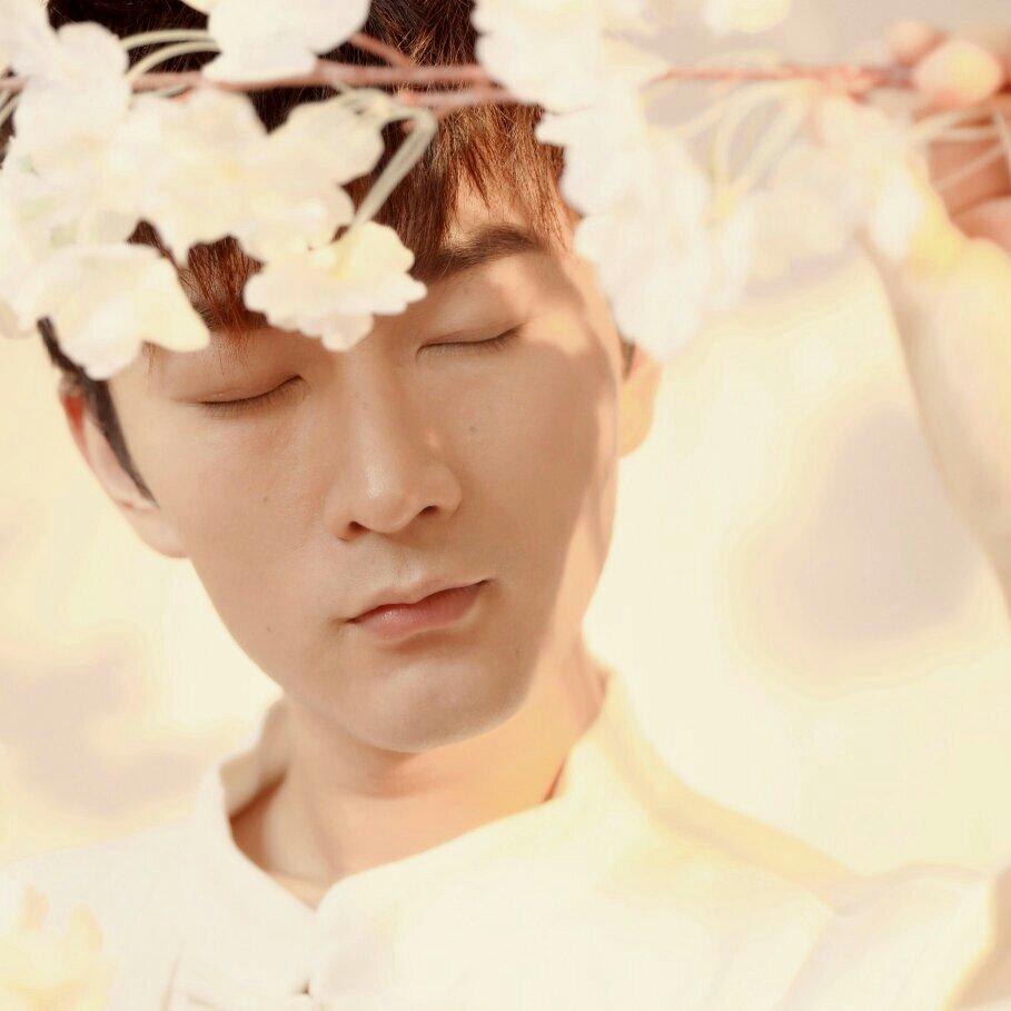 Winky诗歌曲全辑（除无版权）