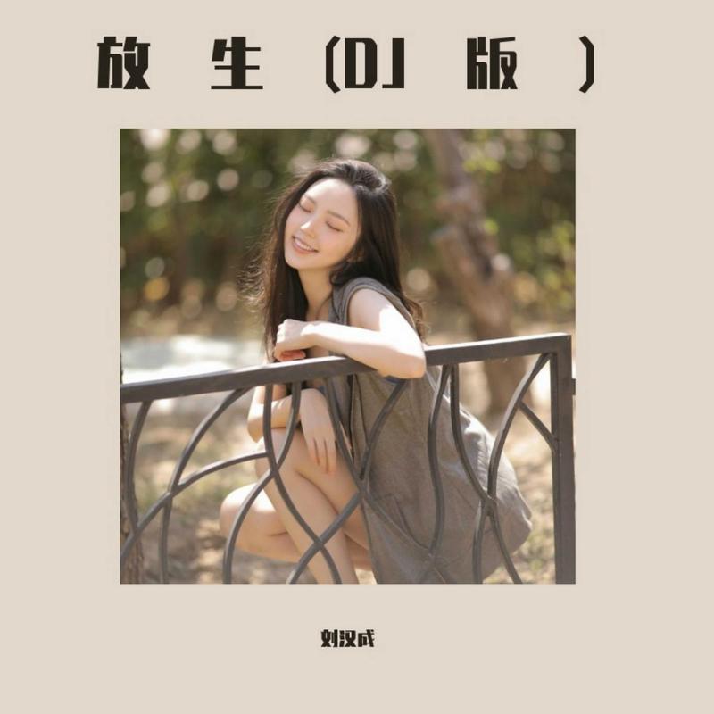 放生 (DJ女生版)封面