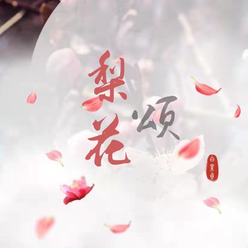 梨花颂封面