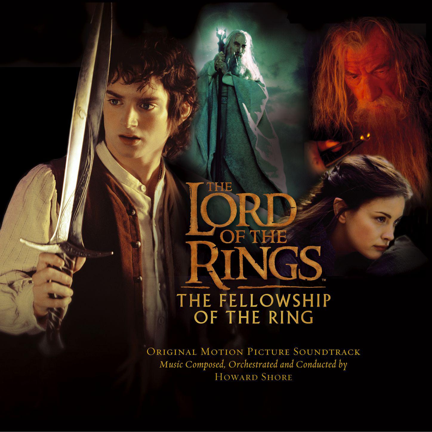 The Lord of the Rings: The Fellowship... for mac instal